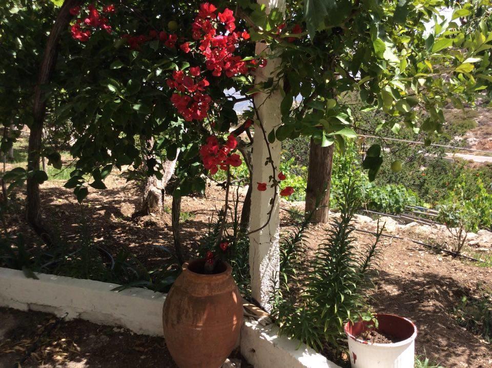 La Villa Di Zazopetra Menetaí Exterior foto